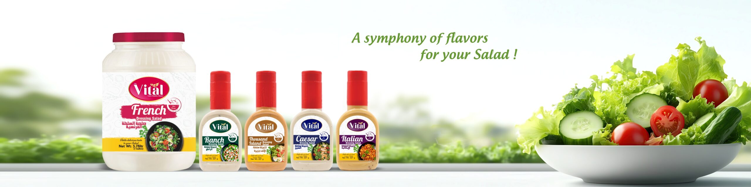 Salad Dressing