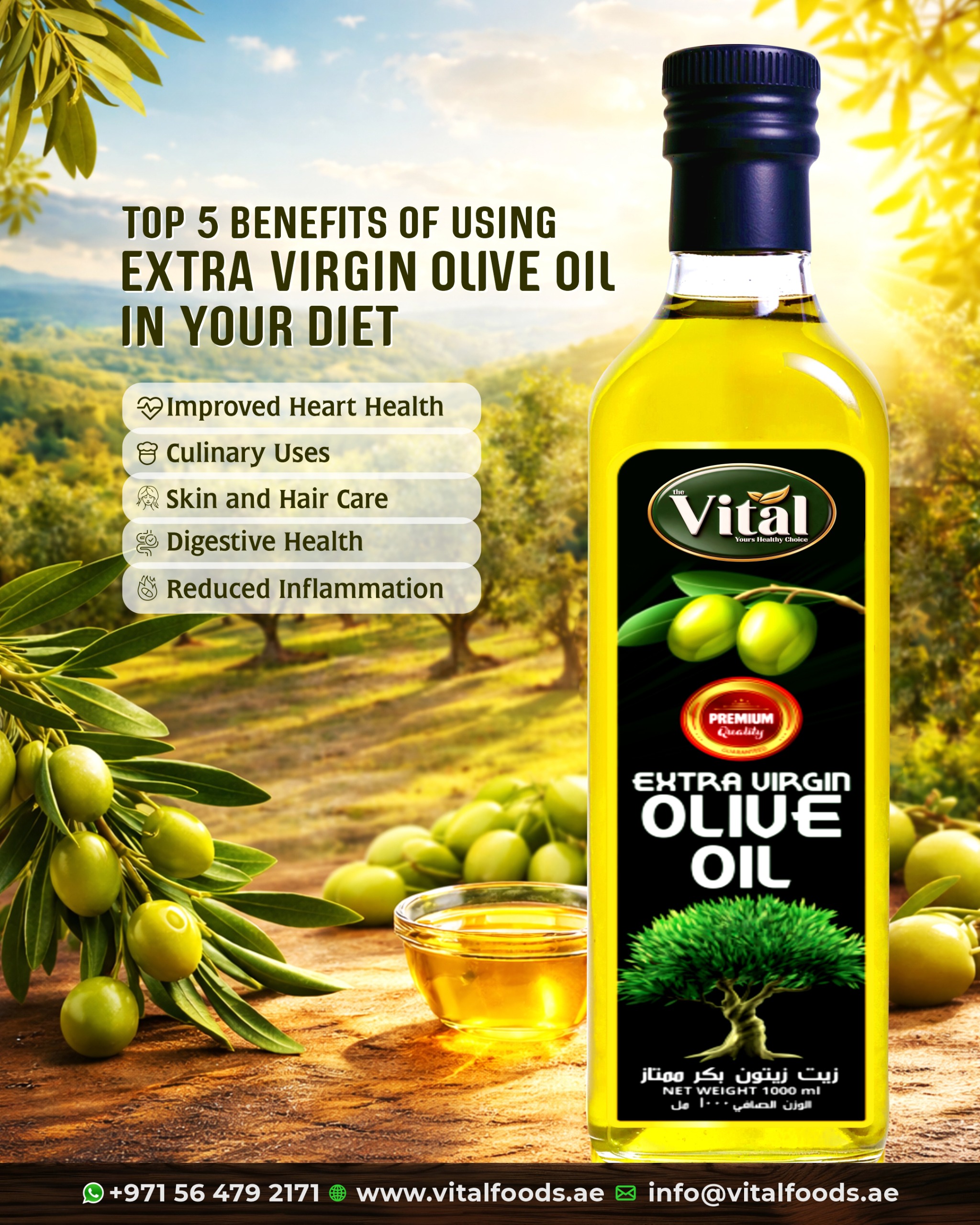 You are currently viewing How to Store Olives and Extend Their Shelf Life