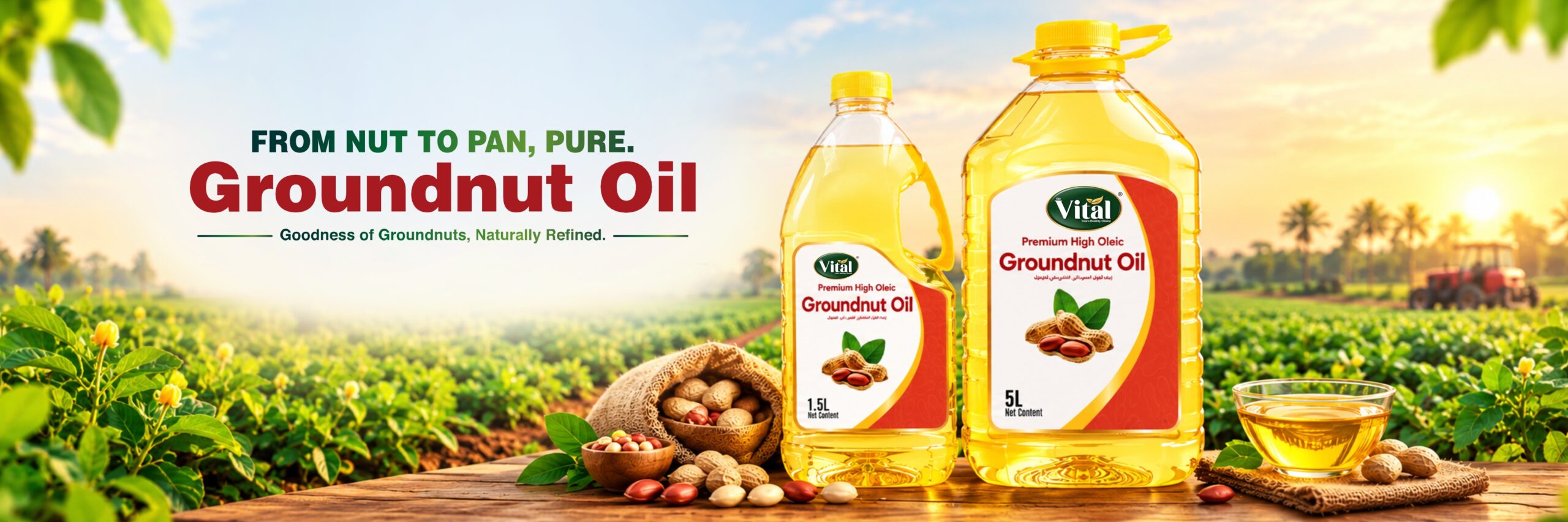 Groundnut Oil